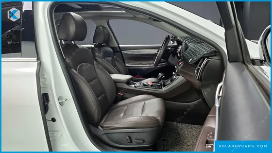 HYUNDAI GRANDEUR 3.0 LPI DSABLED PERSON