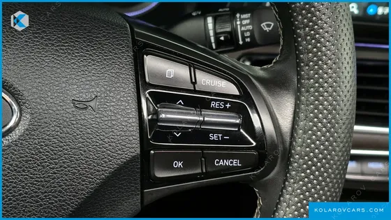 HYUNDAI GRANDEUR 3.0 LPI DSABLED PERSON