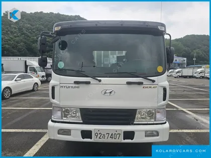 HYUNDAI MEGA TRUCK GOLD