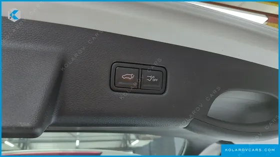 KIA CARNIVAL GASOLINE 9-SEATER SIGNATURE
