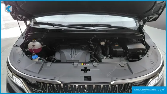 KIA CARNIVAL GASOLINE 7-SEATER HI-LIMOUSINE