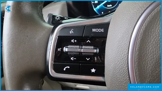 KIA CARNIVAL GASOLINE 9-SEATER HI-LIMOUSINE