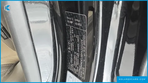 KIA CARNIVAL GASOLINE 9-SEATER HI-LIMOUSINE