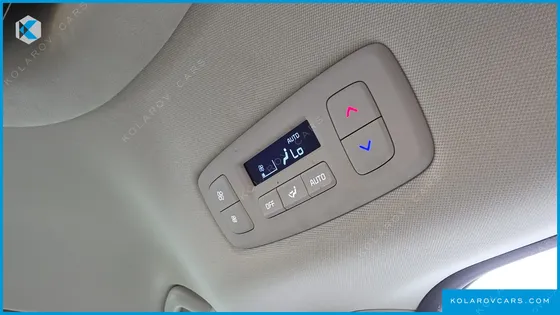 KIA CARNIVAL GASOLINE 9-SEATER HI-LIMOUSINE