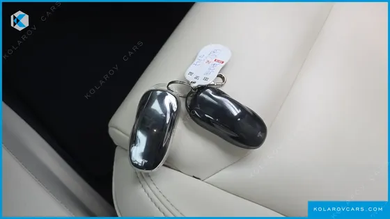 TESLA MODEL S LONG RANGE