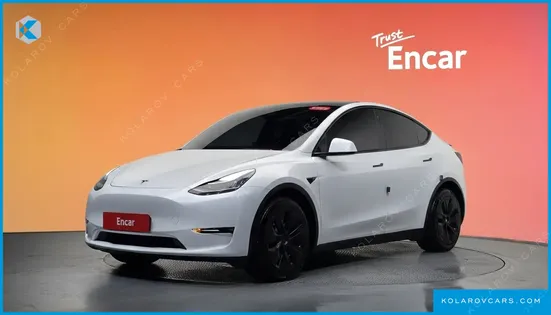 TESLA MODEL Y LONG RANGE AWD