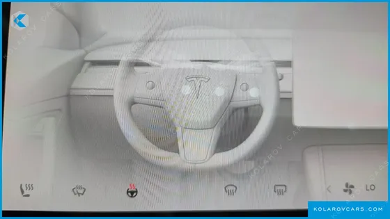 TESLA MODEL Y RWD