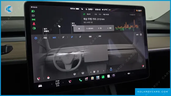 TESLA MODEL Y STANDARD RANGE RWD