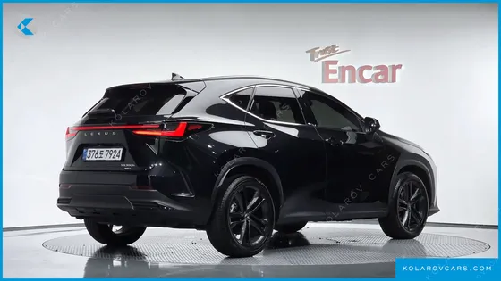LEXUS NX PREMIUM