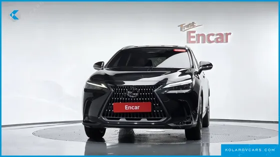 LEXUS NX PREMIUM