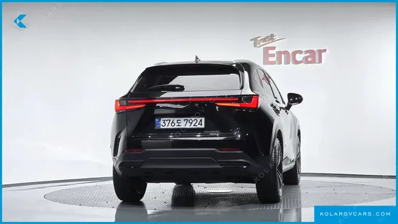 LEXUS NX PREMIUM