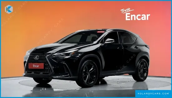 LEXUS NX PREMIUM