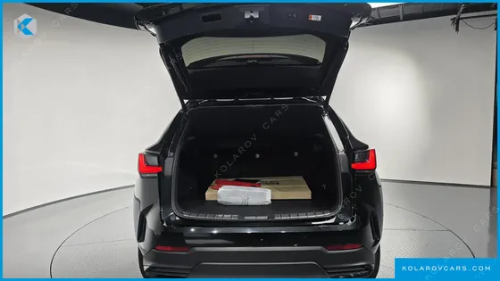 LEXUS NX PREMIUM