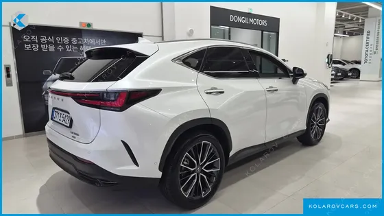 LEXUS NX LUXURY