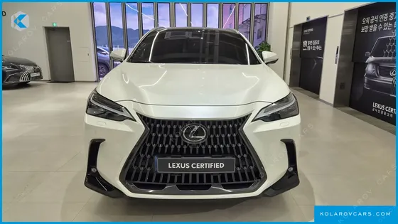 LEXUS NX LUXURY