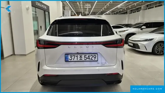 LEXUS NX LUXURY