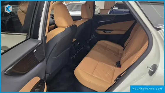 LEXUS NX LUXURY