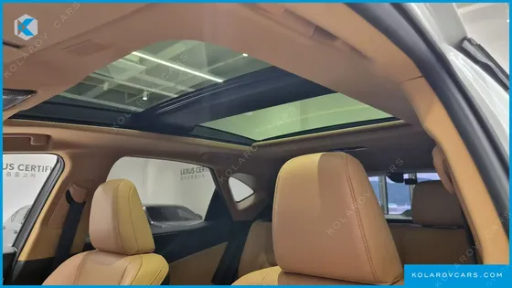 LEXUS NX LUXURY