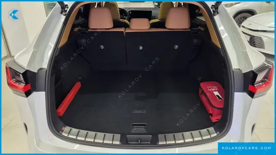 LEXUS NX LUXURY