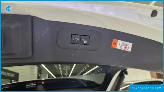 LEXUS NX LUXURY