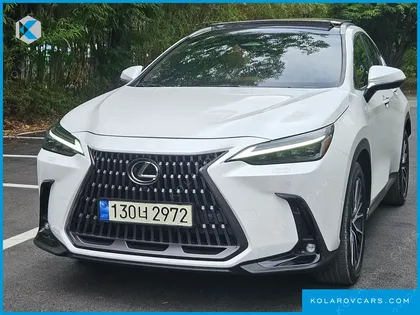 LEXUS NX LUXURY