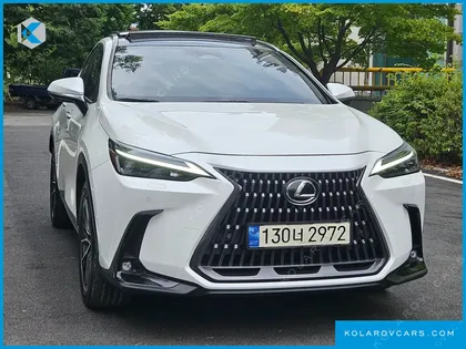 LEXUS NX LUXURY