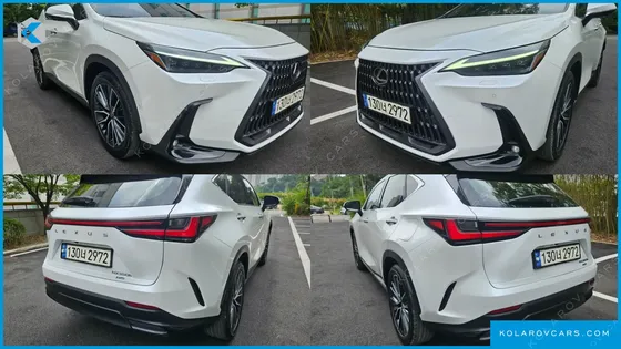 LEXUS NX LUXURY
