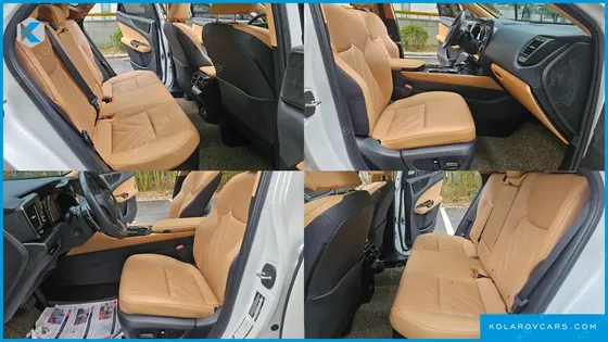LEXUS NX LUXURY