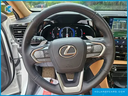 LEXUS NX LUXURY