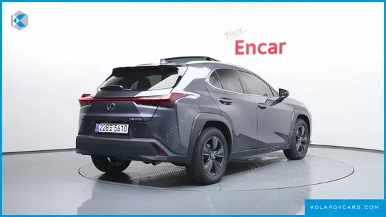 LEXUS UX 2.0 2WD