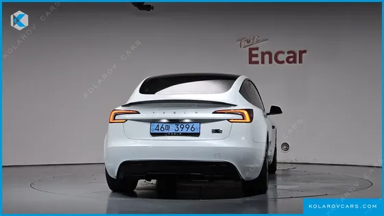 TESLA MODEL 3 PERFORMANCE AWD