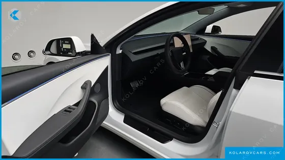 TESLA MODEL 3 PERFORMANCE AWD