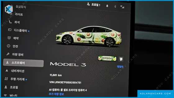 TESLA MODEL 3 RWD