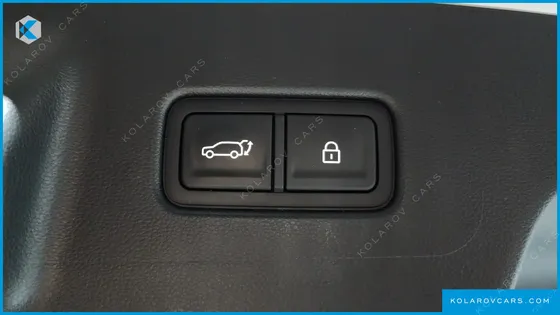 HYUNDAI PALISADE GASOLINE 2.5T 2WD 9-SEATER