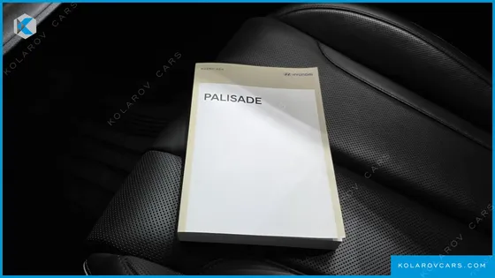 HYUNDAI PALISADE GASOLINE 3.8 2WD