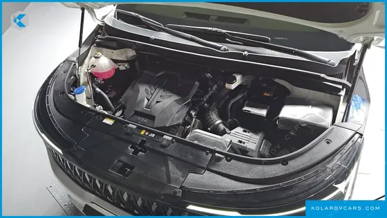 KIA CARNIVAL GASOLINE 9-SEATER NOBLESSE