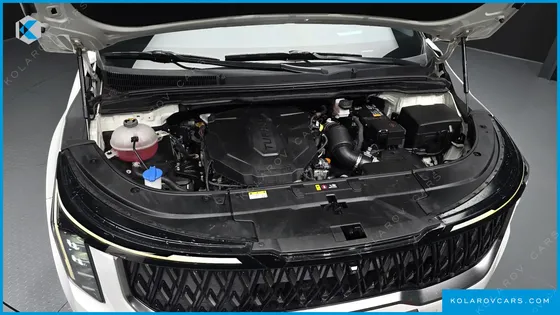 KIA CARNIVAL DIESEL 7-SEATER OUTDOOR