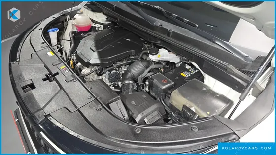 KIA CARNIVAL DIESEL 9-SEATER SIGNATURE