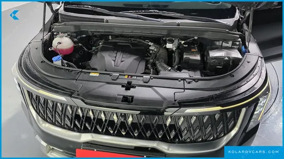 KIA CARNIVAL GASOLINE 9-SEATER NOBLESSE