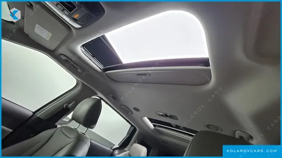KIA CARNIVAL GASOLINE 9-SEATER NOBLESSE