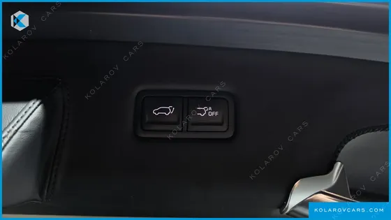 KIA CARNIVAL GASOLINE 9-SEATER LIMOUSINE(SPECIAL VEHICLE)