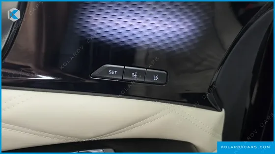 KIA CARNIVAL GASOLINE 9-SEATER LIMOUSINE(SPECIAL VEHICLE)