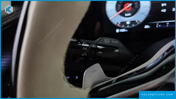 KIA CARNIVAL GASOLINE 9-SEATER LIMOUSINE(SPECIAL VEHICLE)