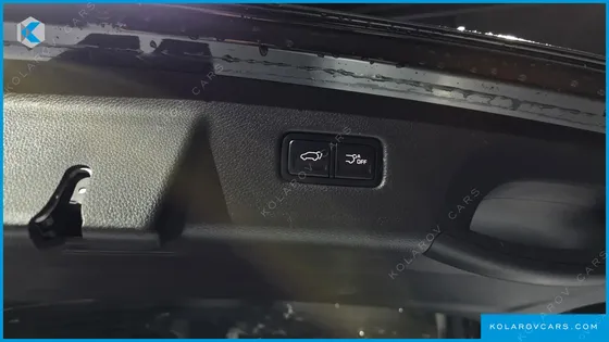 KIA CARNIVAL DIESEL 9-SEATER NOBLESSE