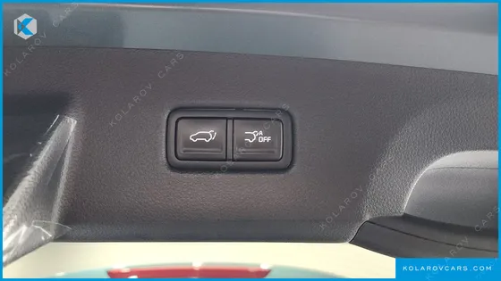 KIA CARNIVAL GASOLINE 11-SEATER SIGNATURE