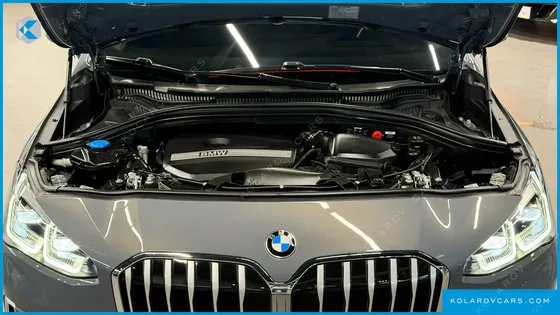 BMW 2 SERIES 220I LUXURY