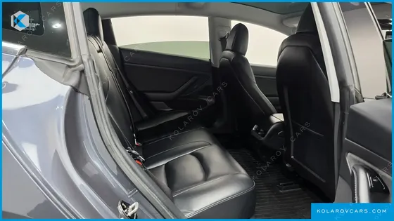 TESLA MODEL 3 STANDARD RANGE PLUE RWD