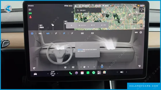 TESLA MODEL 3 STANDARD RANGE PLUE RWD