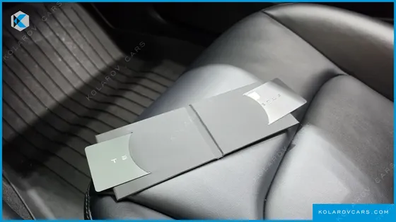 TESLA MODEL 3 STANDARD RANGE PLUE RWD