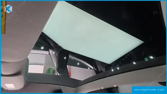 TESLA MODEL 3 STANDARD RANGE PLUE RWD